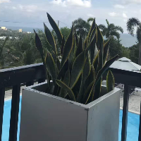 逆向思考